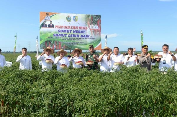  Panen Raya di Desa Lubuk Cuit, Pj Gubernur Dukung Pembangunan Rumah Produksi Pasta Cabai Merah