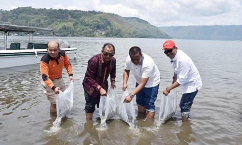 Lestarikan Ikan di Danau Toba, Pj Gubsu Minta Diskanla Inisiasi Dua Pergub