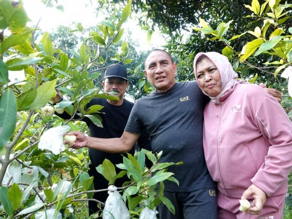 Gubernur Edy Rahmayadi Ingin Contoh Ngrowo Bening Edu Park