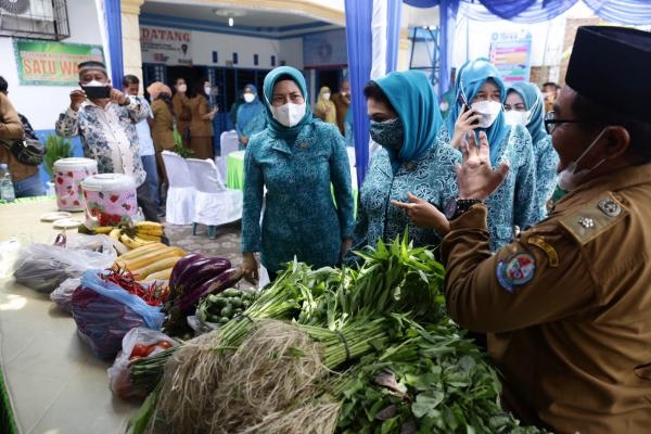 Evaluasi Lomba Desa Percontohan PKK, Sri Ayu Mihari Kunjungi Desa Muliorejo dan Telaga Sari di Deliserdang