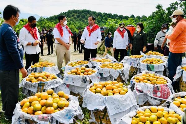 Jokowi dan Edy Rahmayadi Tinjau Perbaikan Jalan Desa Kutambelin *Belum Rampung, Sudah Pangkas Waktu Tempuh Dua Jam