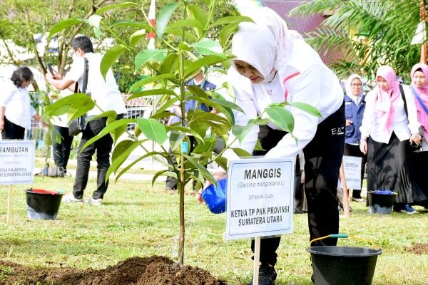  Tanam 1.000 Pohon Serentak Bersama Ibu Negara, Nawal Lubis Tanam Bibit Manggis di Taman PKK Sumut