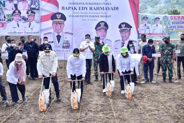 Tanam Jagung dan Serahkan Bantuan, Edy Rahmayadi Optimis Pakpak Bharat Bisa Jadi Produsen Jagung Utama Sumut