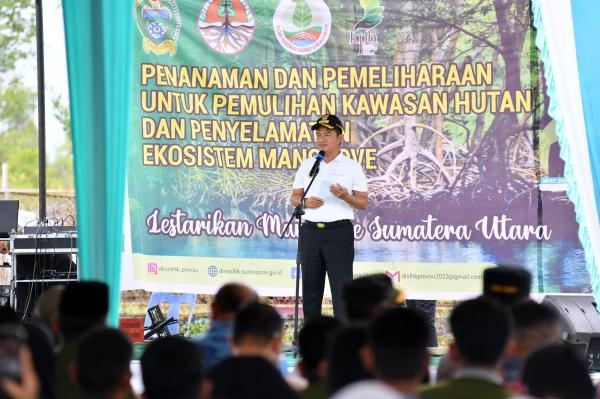 Pulihkan Hutan Mangrove, Pemprov Sumut Tanam 10 Ribu Bibit Mangrove