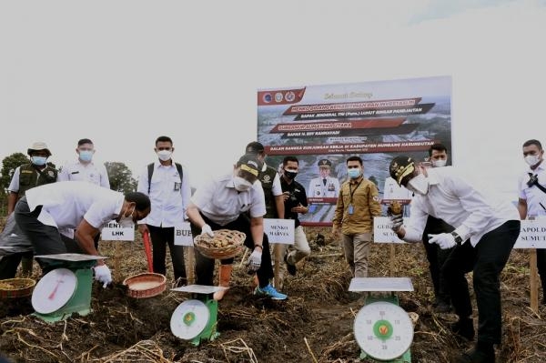 Perkembangan Food Estate di Humbahas Positif, Tahun Depan Target Penambahan Lahan 2.000 Ha