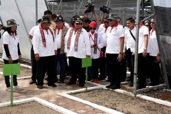 Rehabilitasi Hutan dan Bernilai Ekonomi Tinggi, Edy Rahmayadi Berkomitmen Kembangkan Tanaman Macadamia