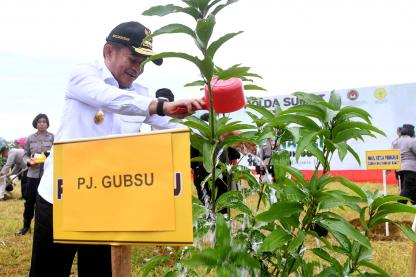 Dukung Penuh Penanaman 10 Juta Pohon, Pj Gubernur Sumut Harap Seluruh Pihak Ikut Andil