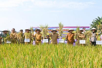 Panen Padi di Deliserdang, Pj Gubernur Pastikan Stok Beras Sumut Aman