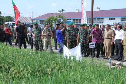 Gubsu Buka Pelatihan Ketahanan Pangan