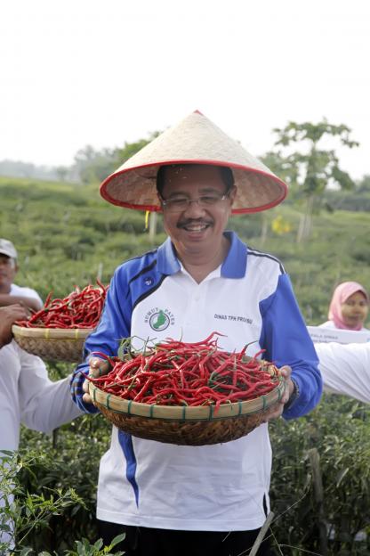 Gubsu Panen Cabai Merah Kabupaten Batubara